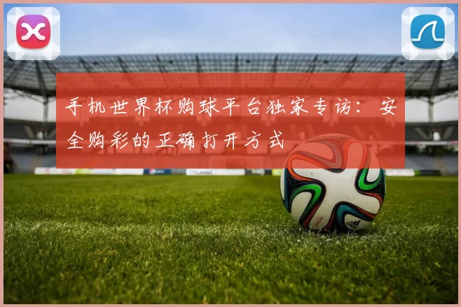 手机世界杯购球平台独家专访:安全购彩的正确打开方式