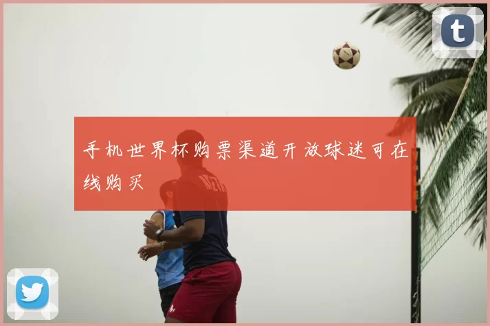 手机世界杯购票渠道开放球迷可在线购买