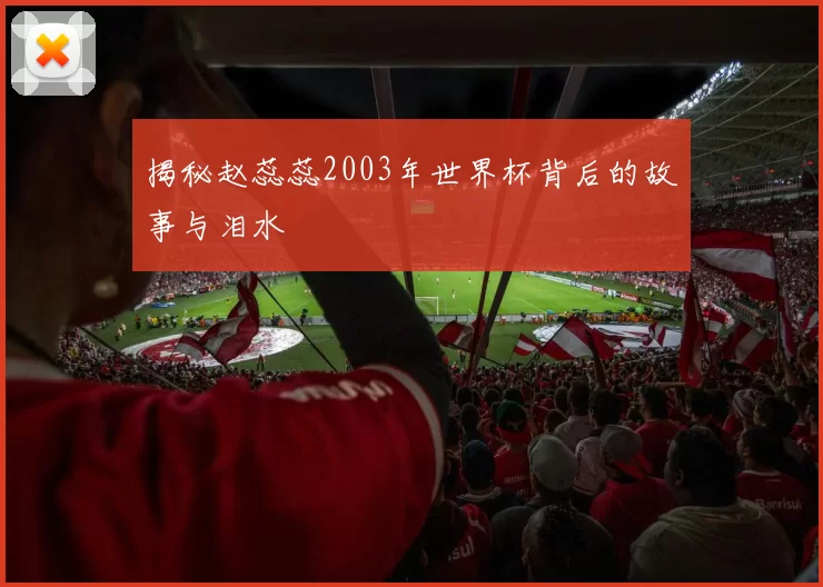 揭秘赵蕊蕊2003年世界杯背后的故事与泪水