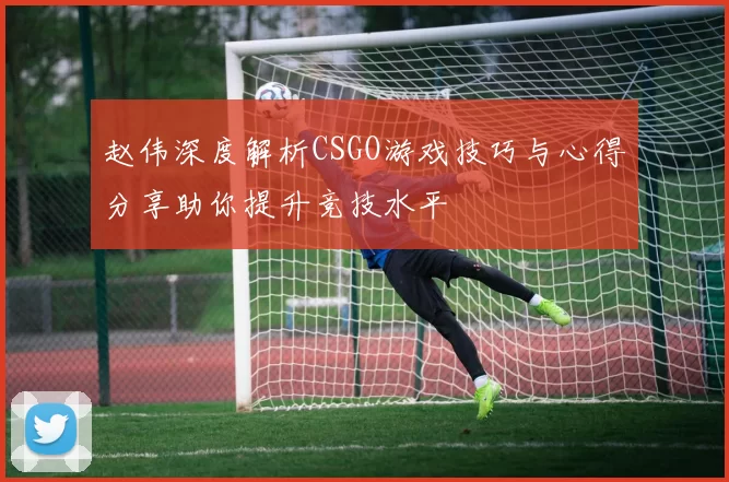 赵伟深度解析CSGO游戏技巧与心得分享助你提升竞技水平
