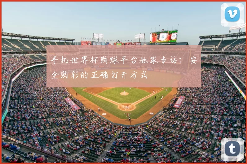 手机世界杯购球平台独家专访:安全购彩的正确打开方式