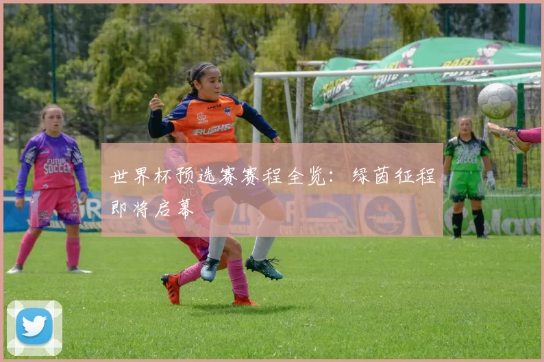 世界杯预选赛赛程全览：绿茵征程即将启幕