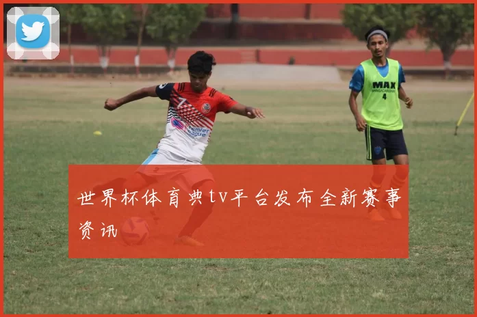 世界杯体育典tv平台发布全新赛事资讯