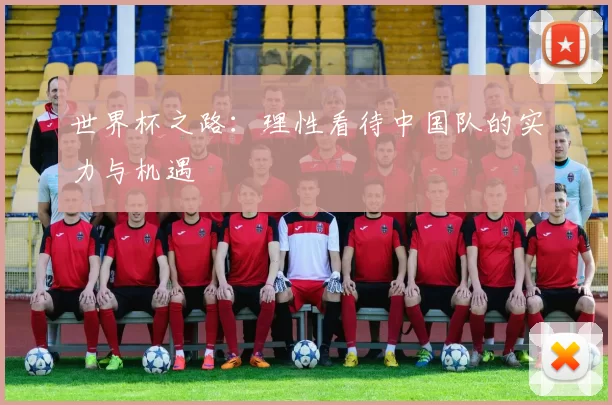 世界杯之路：理性看待中国队的实力与机遇